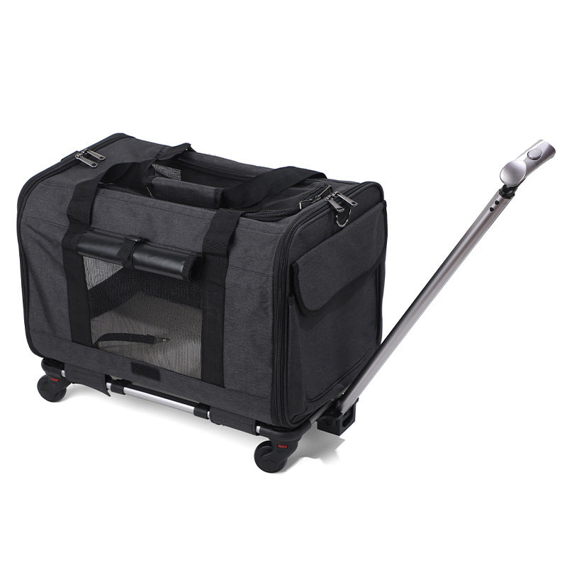 Transportín Plegable y Transpirable para Gatos con Asa Extensible